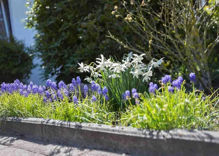 1 Id 116 Appartement *